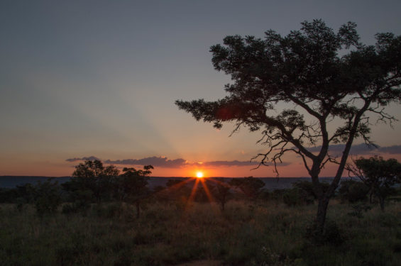 Shambala-Landscape-04-565x375