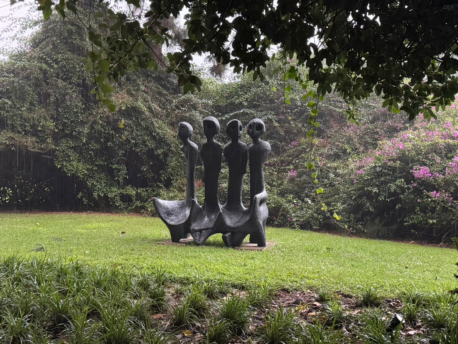 WhatsApp Image 2025-12-01 at 16.11.36_1f58aaab